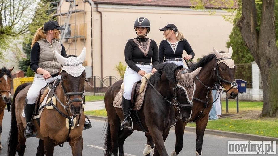 Sprzedam konia bądź zamienie