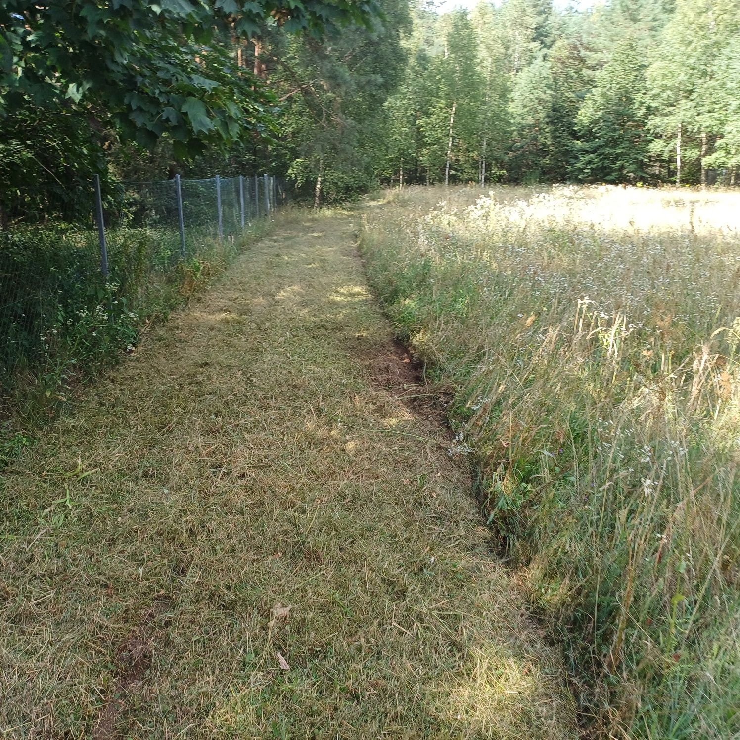 Koszenie traw zarośli farm fotowoltaicznych mulczer Faktura
