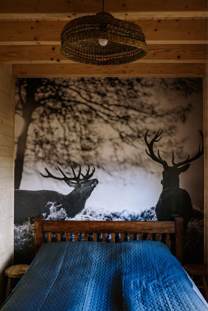 Domek na wynajem „Jodełkowa Stodoła” Tylmanowa blisko Szczawnica