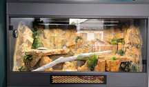Terrarium dla agamy
