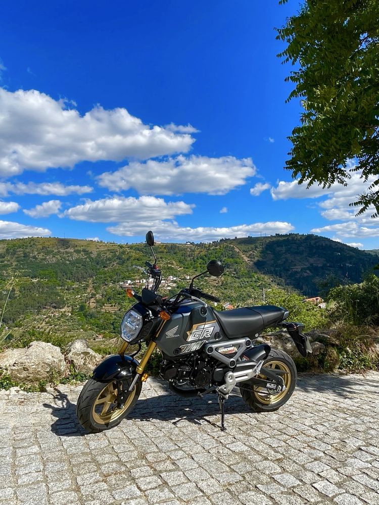 Honda msx (grom)