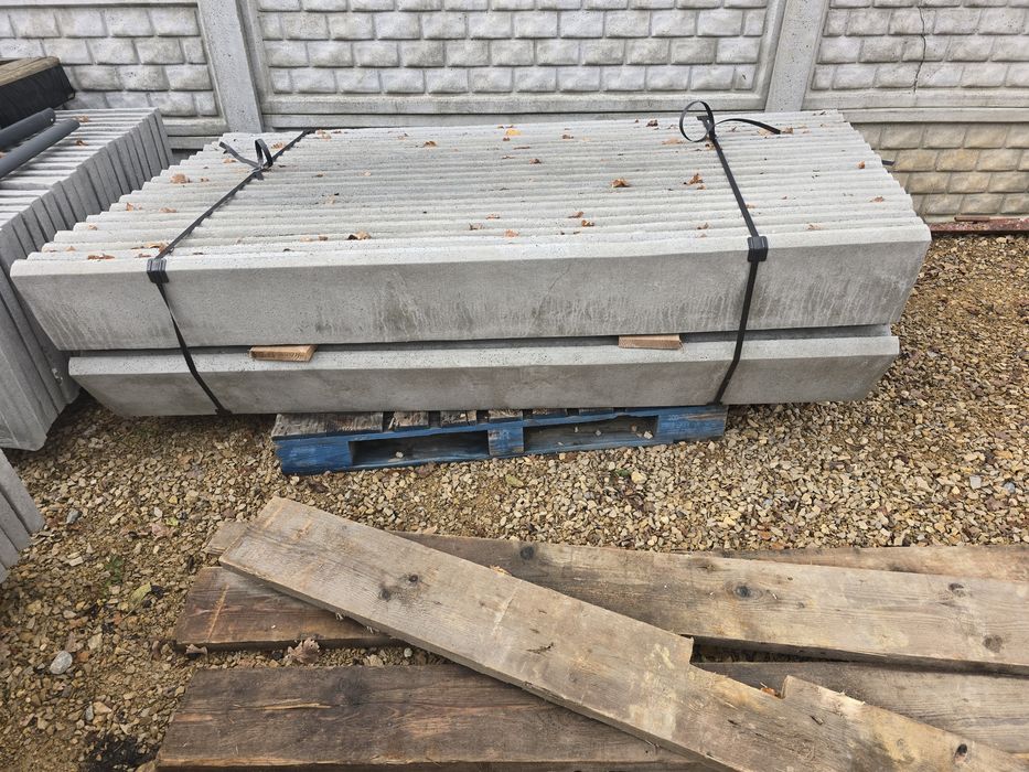 Płyta ogrodzeniowa 25/200