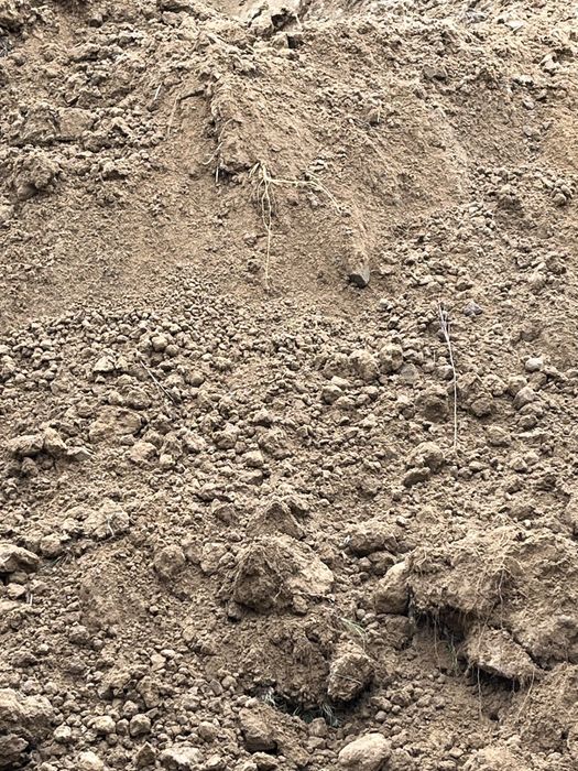 Ziemia gliniasta ODDAM !!!