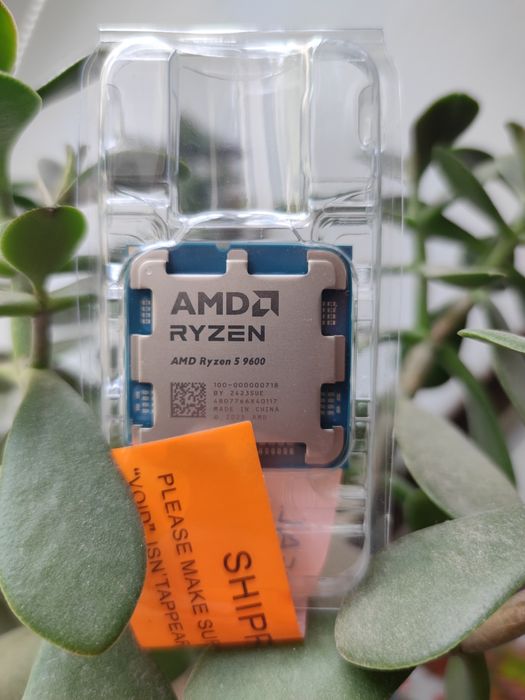 AMD Ryzen 5 9600/9600X Новий