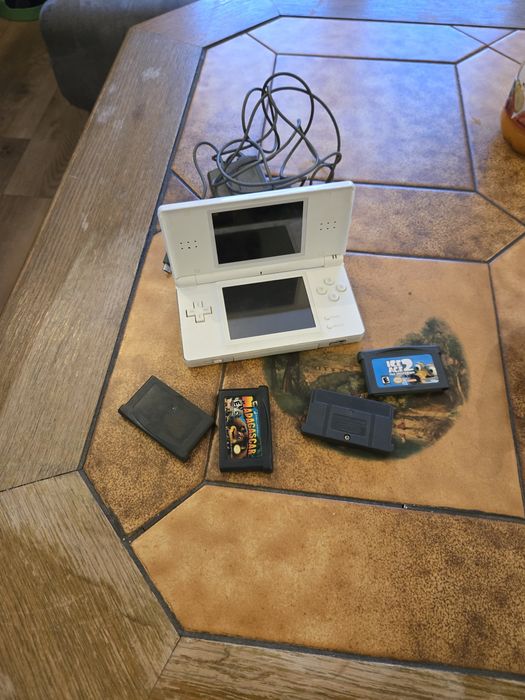 Nintendo ds litle