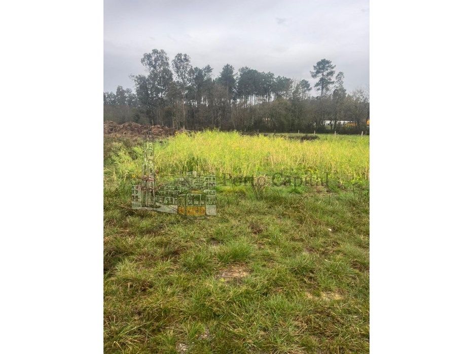 Excelente Terreno Com 6000M2