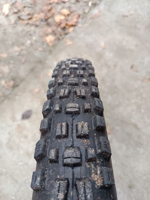 Maxxis Assegai 29x2,5 3C MaxxGrip DD