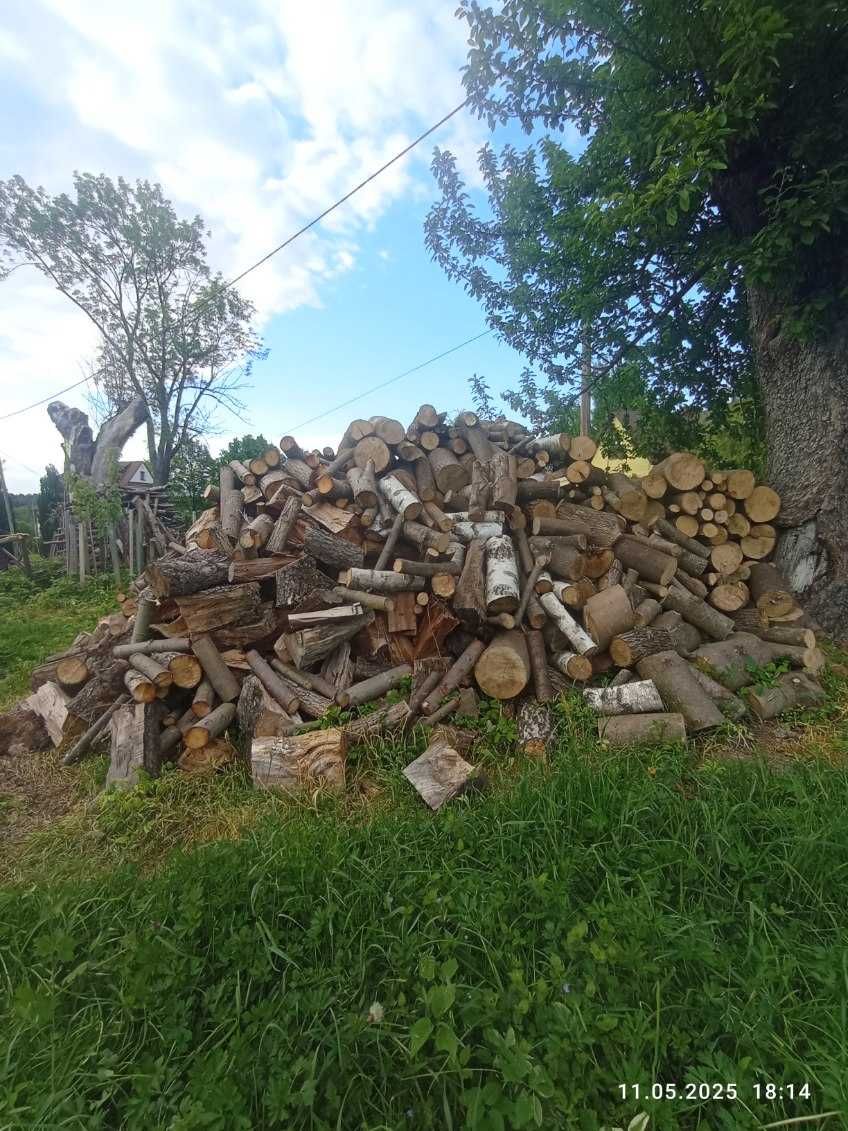 Drzewo opałowe pociete