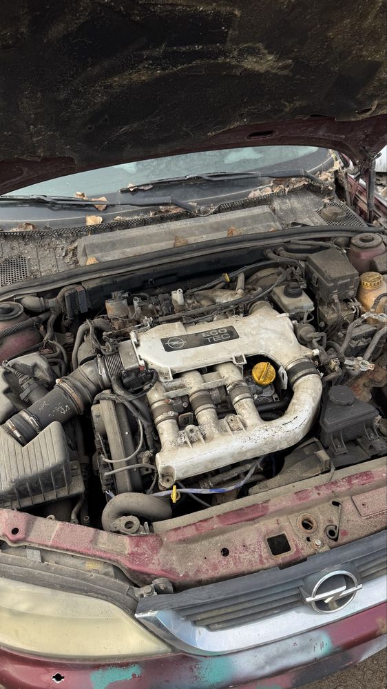 Автозапчастини для Opel Vectra B 2.5 V6 X25XE