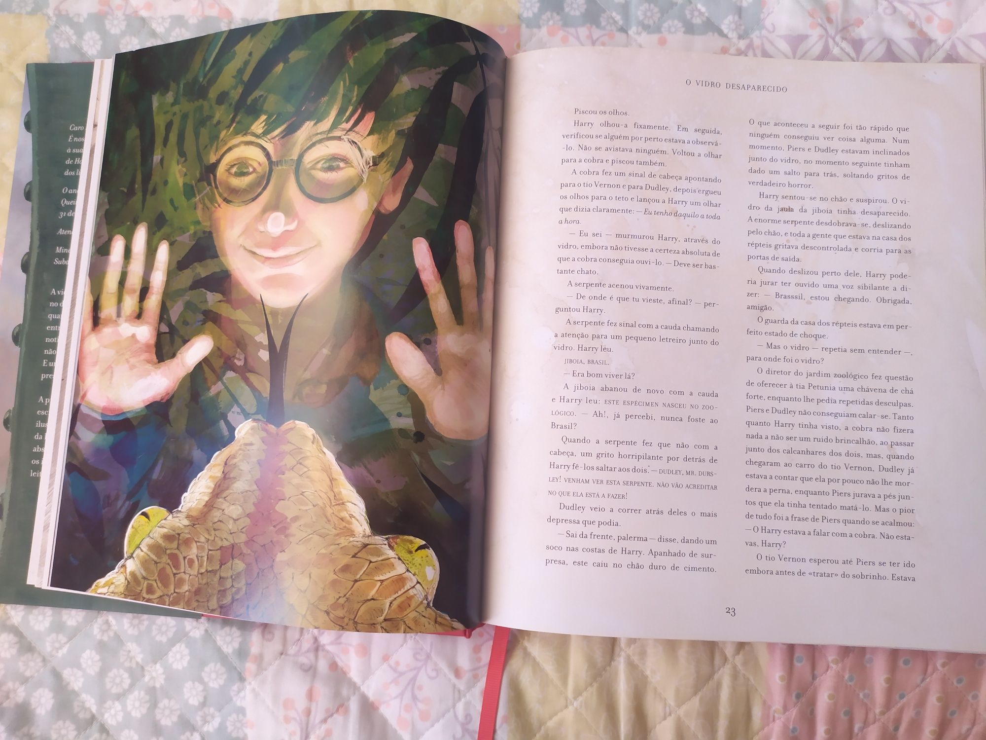 Livro Harry Potter e a Pedra Filosofal ilustrado