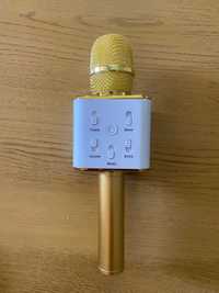 Mikrofon karaoke Sing Along Pro WE-SA2 Gold