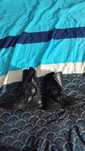 Botas pretas de mota