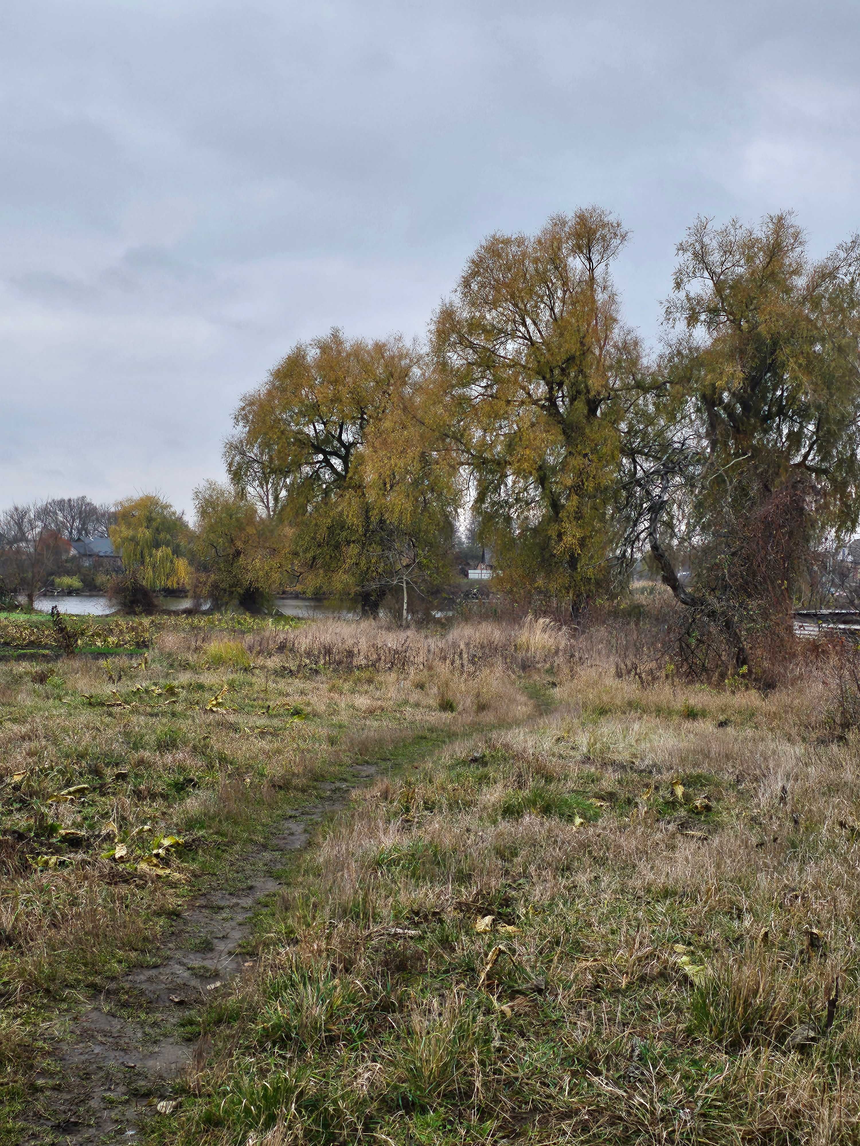 Продам будинок із ділянкою та городом  м. Козятин