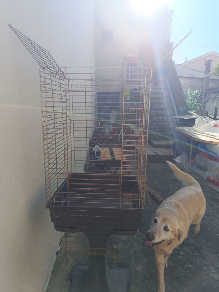 Gaiola para papagaio