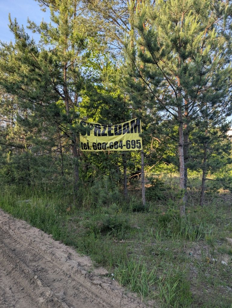 Działka Usługowa w Wasilkowie przy Dolinie Cisów