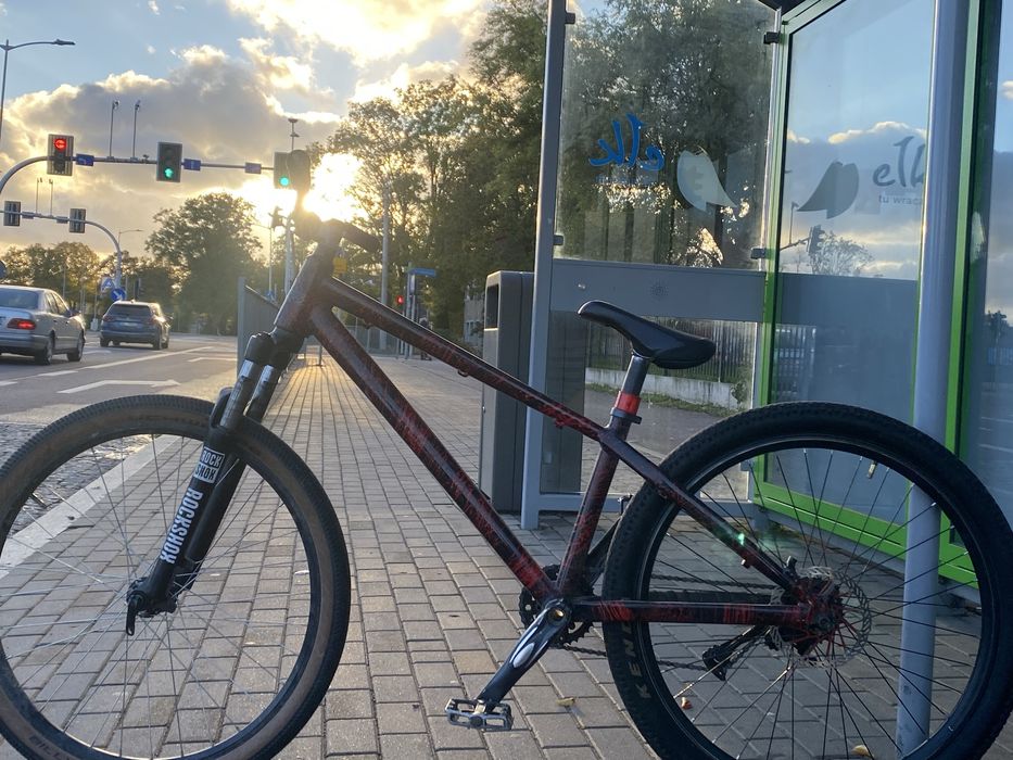 Kellys whip 10 custom mozliwa zamiana