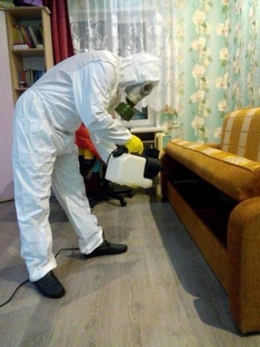 Дератизация травля крыс Травля клопов и тараканов холодным туманом