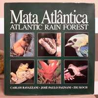 Mata Atlântica - Atlantic Rain Forest