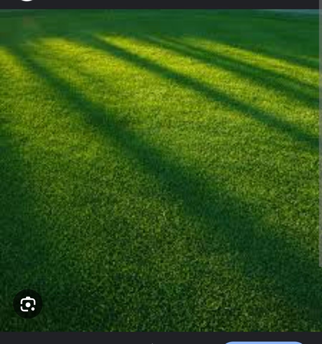Газонна трава Універсальна  ,Спортивна 10кг ТМ Green Field RasenSamen