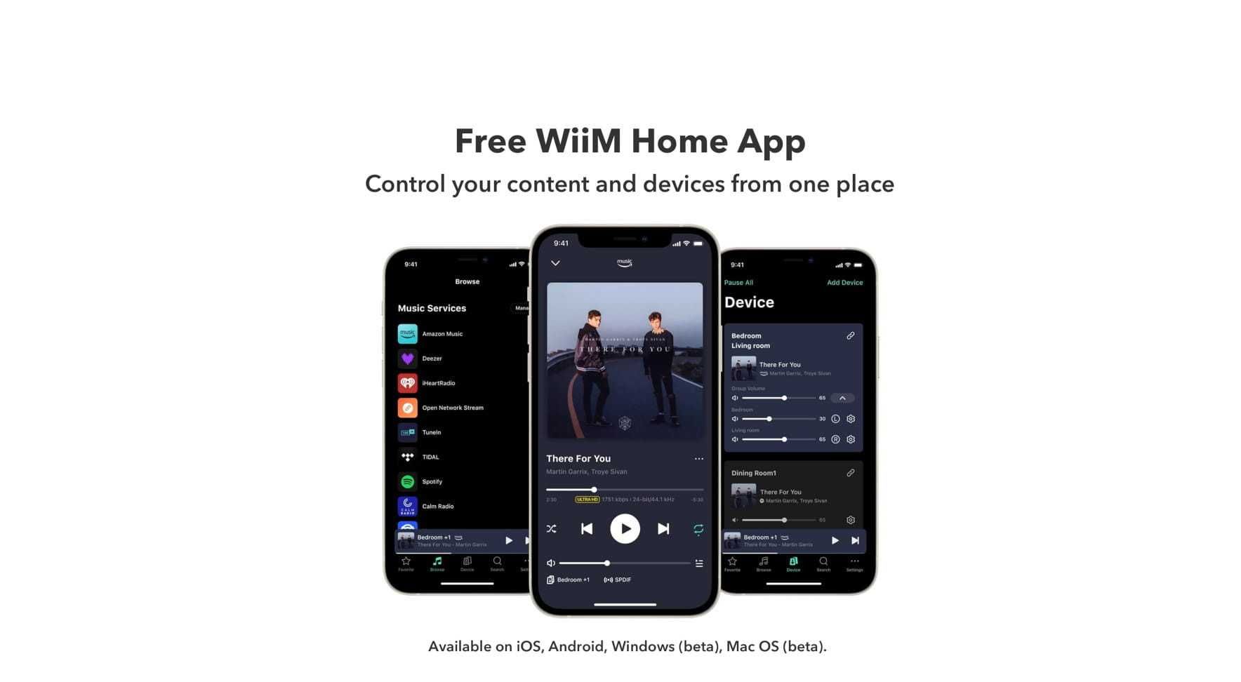 WiiM Amp Pro wzmacniacz z odtwarzaczem sieciowym