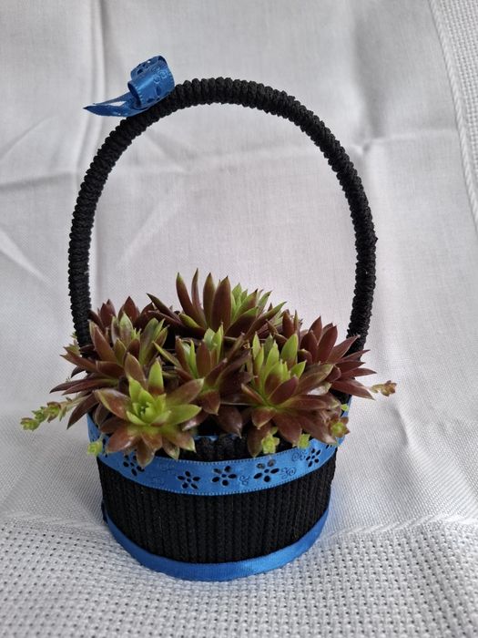 Koszyczek z rojnikami naturalnymi 20-13cm