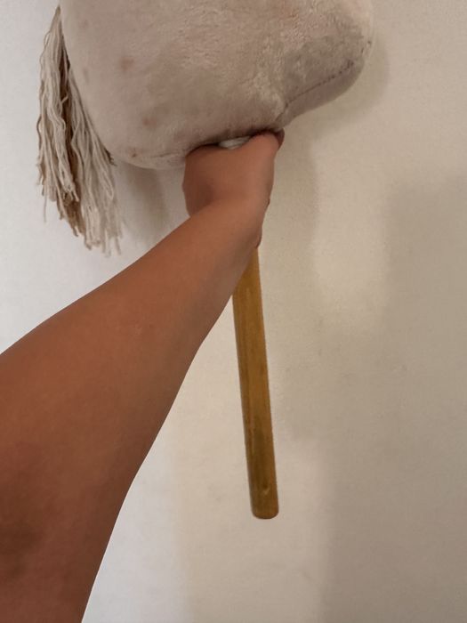 Hobby horse koń na kiju