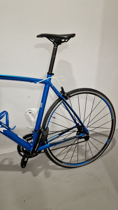 TREK One Series 1.2