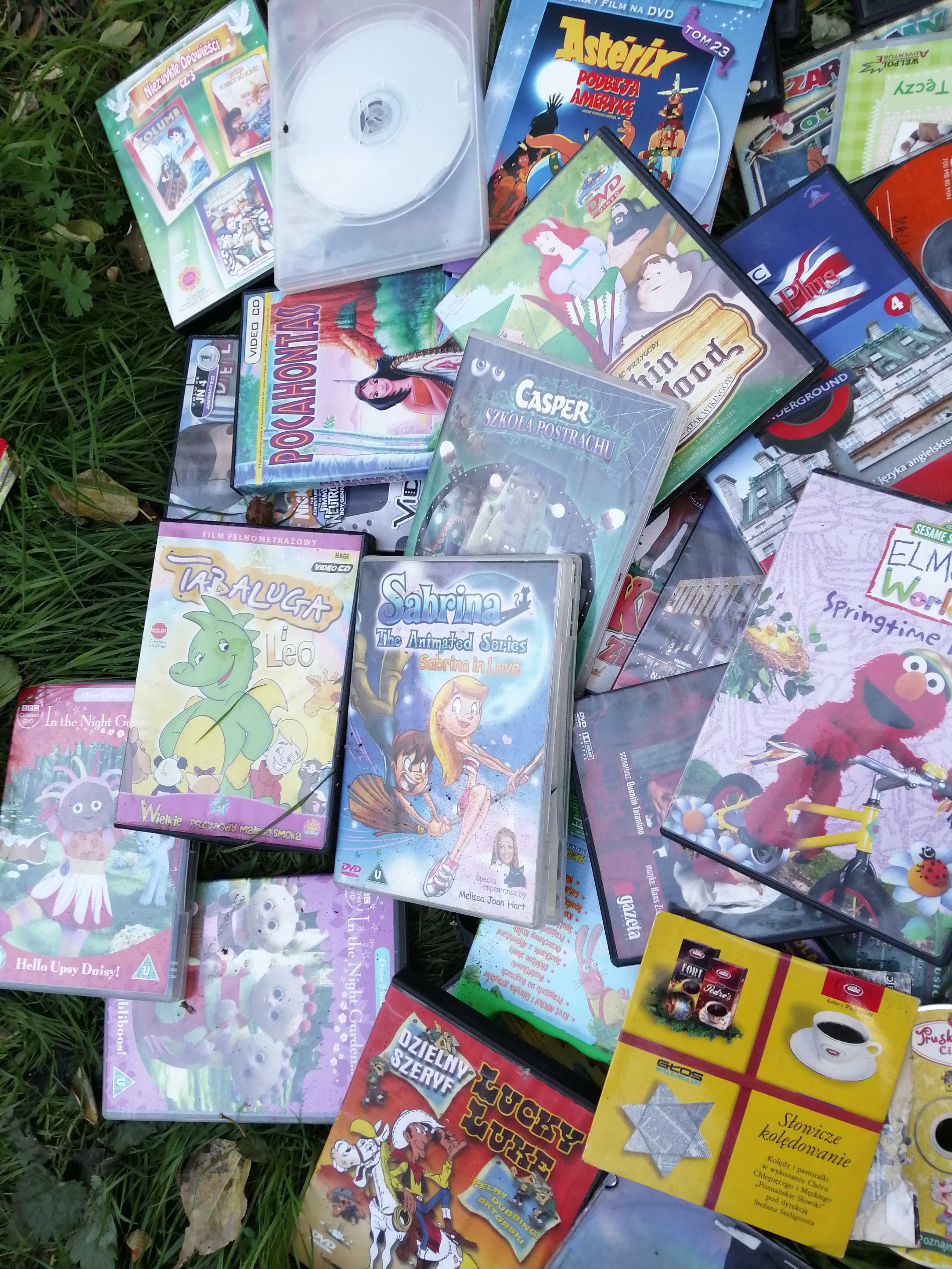 Duży zestaw płyt Dvd bajki Pytalscy 60 Miś Shrek dla dzieci