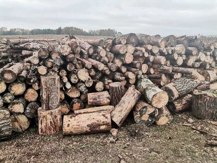Witam sprzedam drzewo opałowe