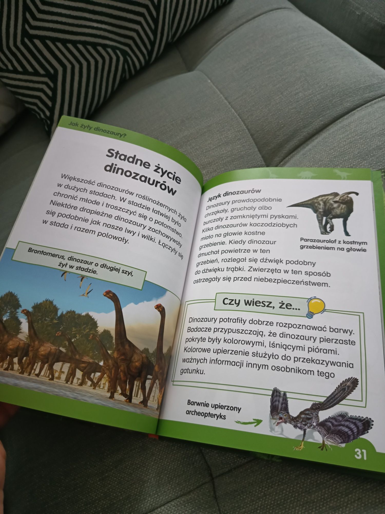 Książka do nauki czytania Dinozaury