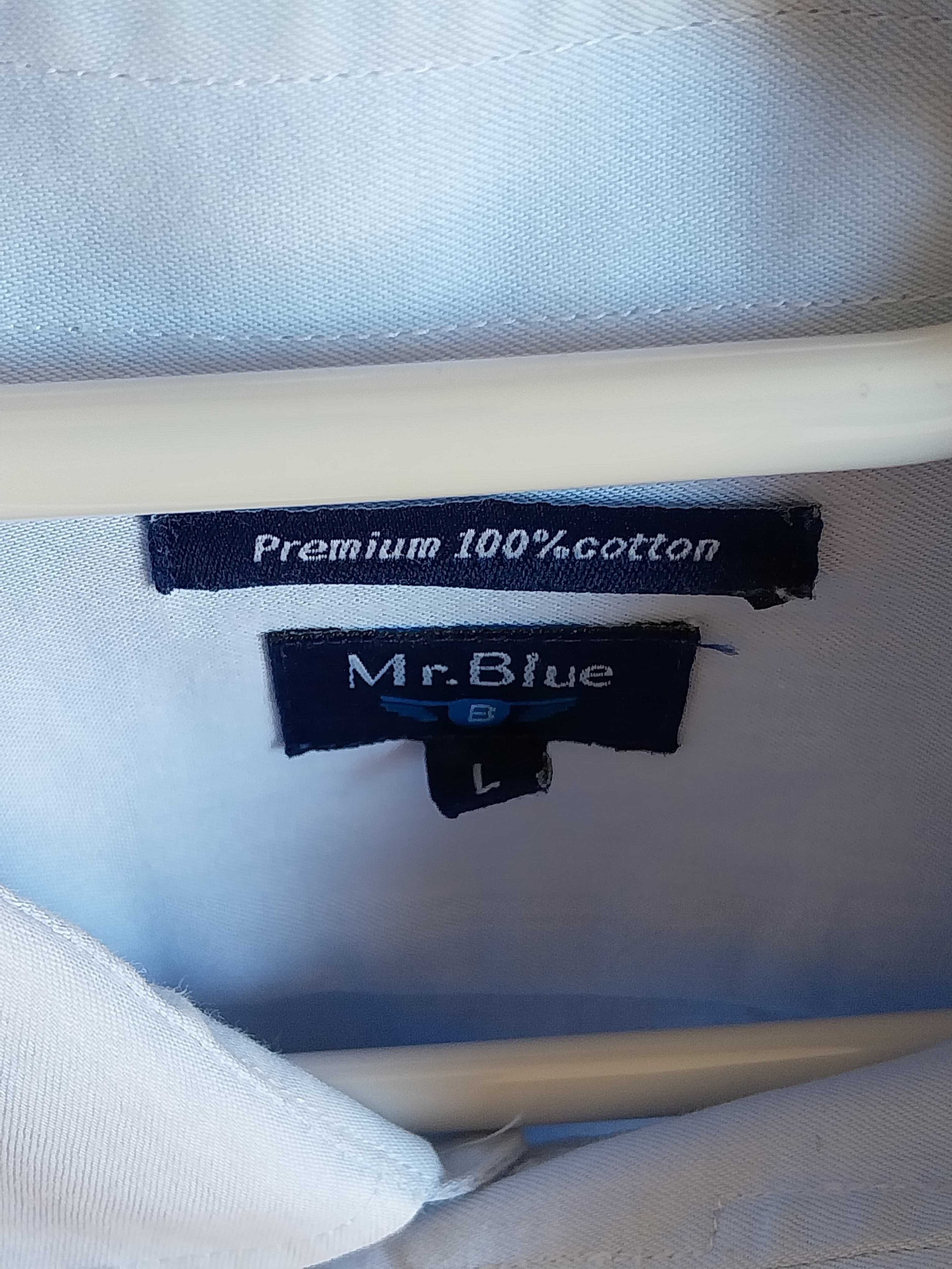Camisa Clássica Homem- Mr Blue