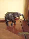 Elefante em pau preto