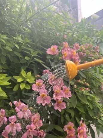 Regador Artesanal 2 L