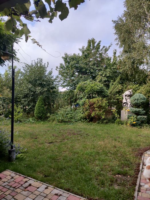 Затишний 3-х кімнатний будинок на березі моря в селі Фонтанка