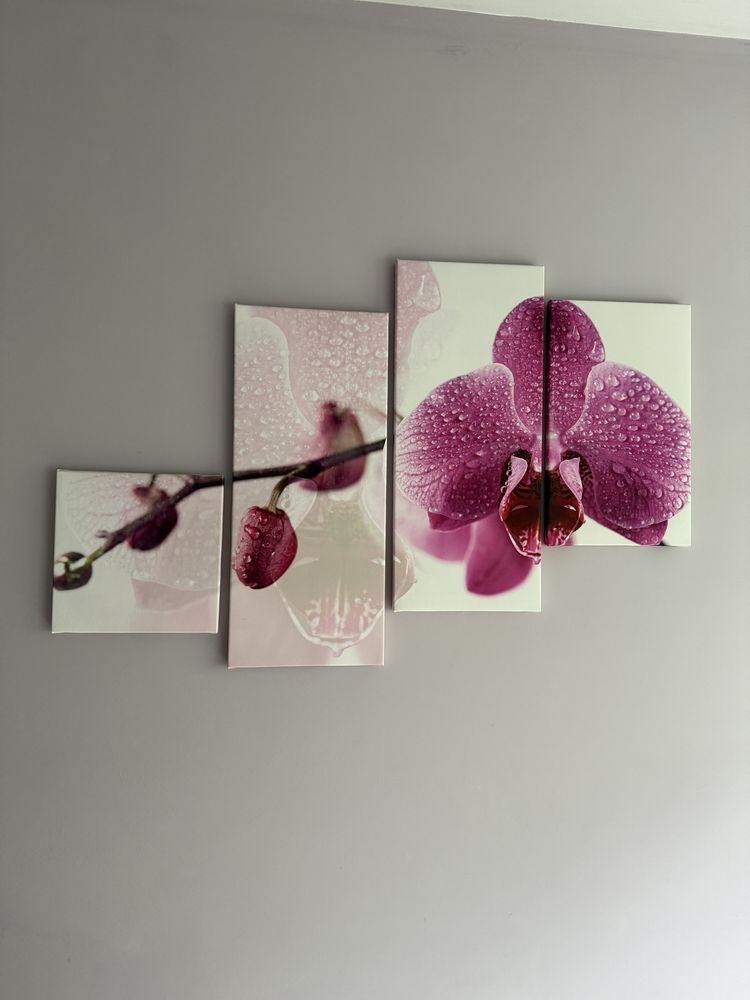 Obraz tryptyk orchidea