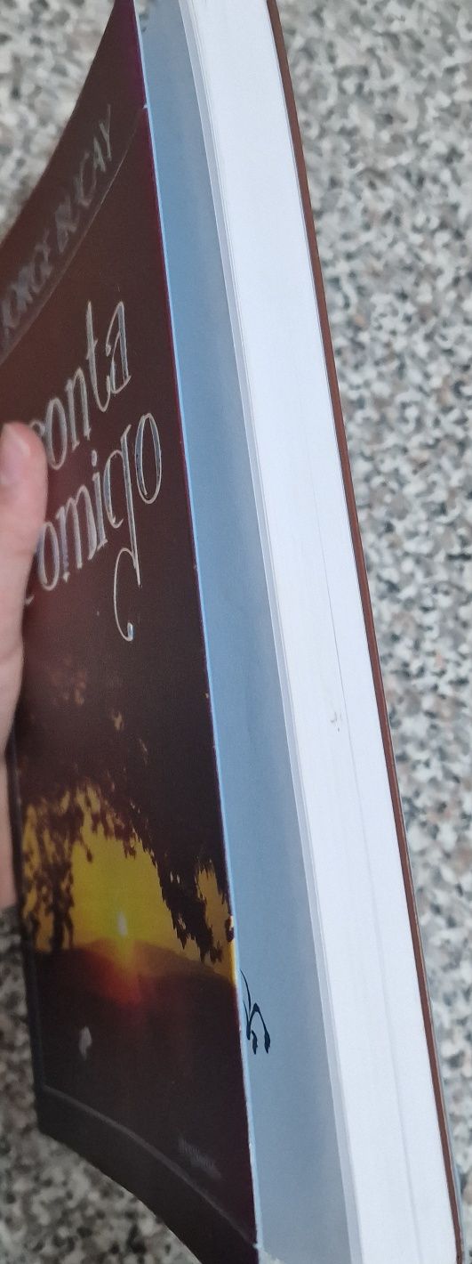 Conta comigo, livro