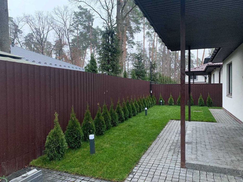 Послуги з обрізання саду та прибирання листя | Буча та район