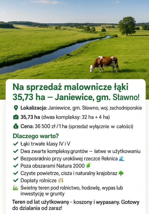 Malownicze łąki 35,73 ha — Janiewice, gm. Sławno - świetna cena