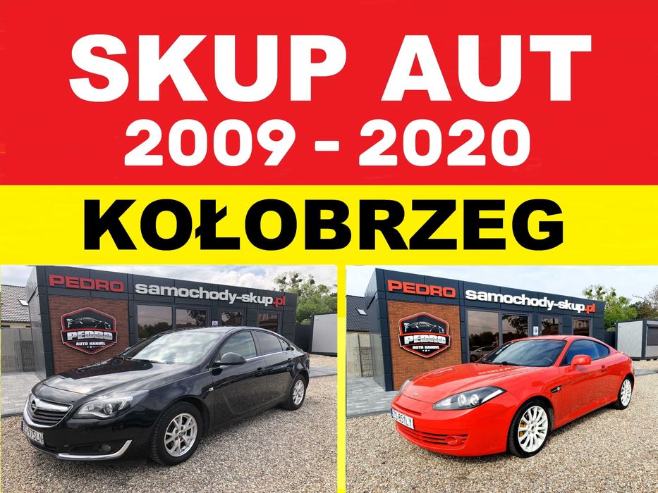 PEDRO – SKUP AUT KOŁOBRZEG (2009r-2020r) - Sprawne lub do naprawy