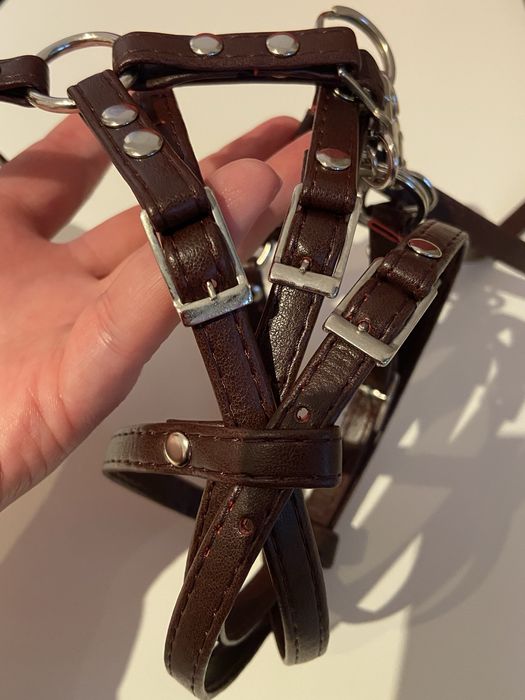 Hobby horse A4 szary jabłkowity wraz z ogłowiem meksykańskim