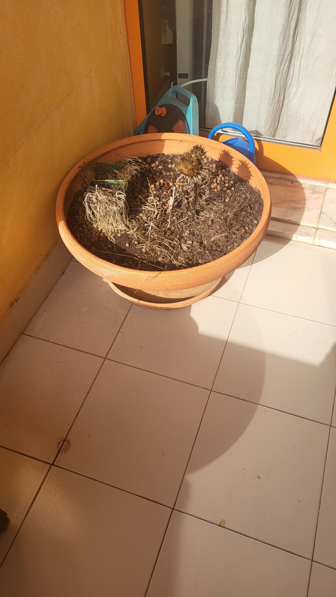 Vaso em barro 65 cm de diâmetro