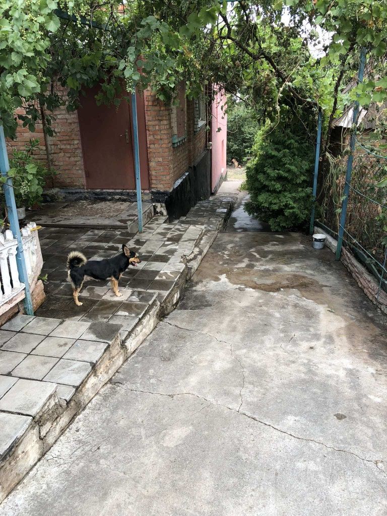 Продается дом Карачуны