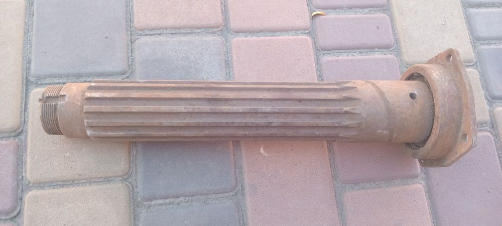 Борона зубова маленька райборінка