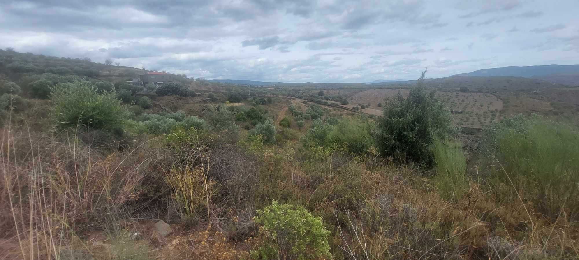 Terreno para construção de moradia junto ao Museu do Côa