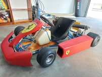 Kart 100cc iame como novo