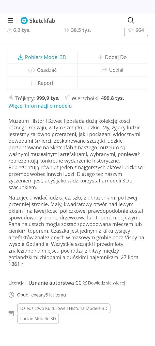 Model 3d czaszka ludzka pełny wymiar