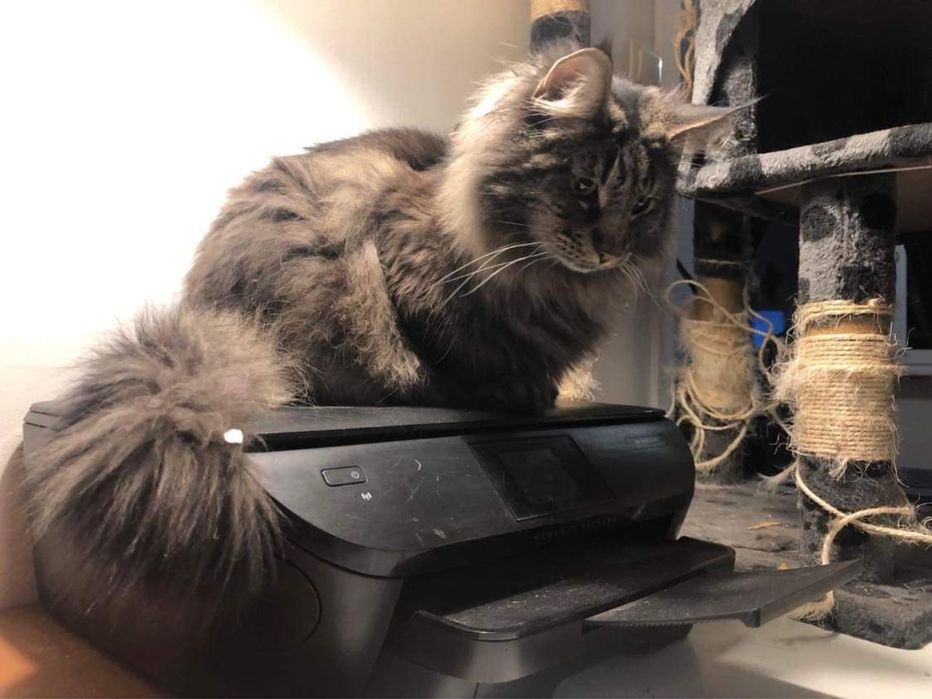 Drukarka HP envy 5640