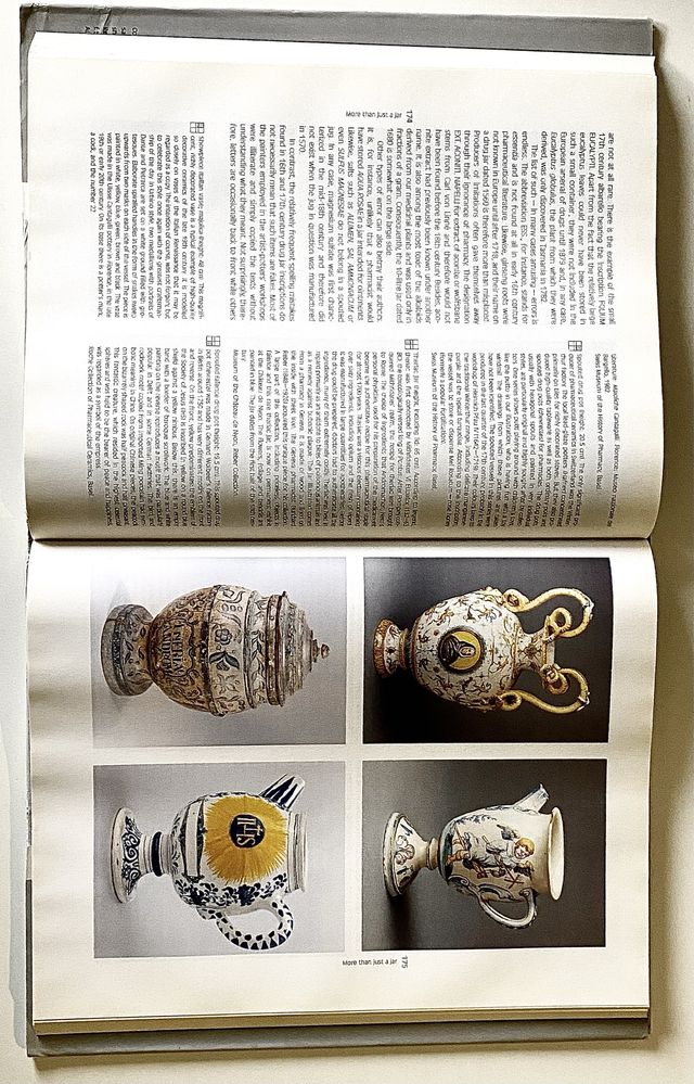 The Pharmacy Windows on History,Regine Pötzsch