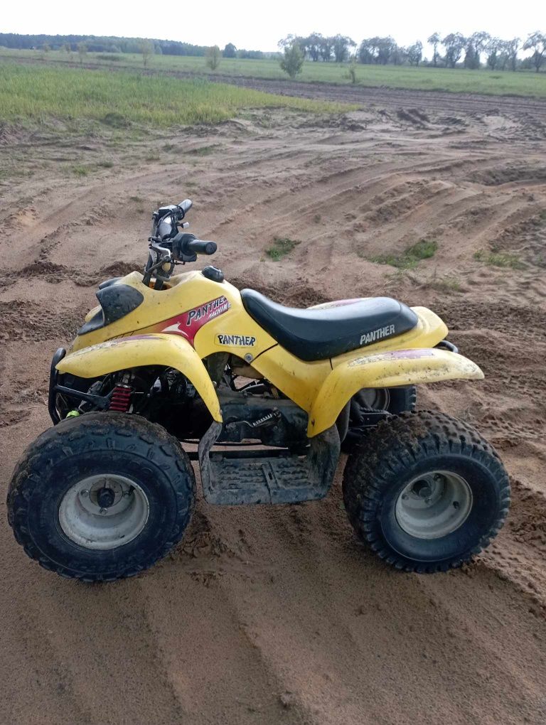 Quad panther machine 100 2t