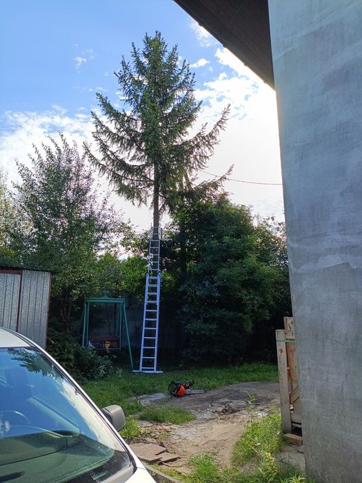 Wycinka drzew i krzewów , Zakładanie trawników